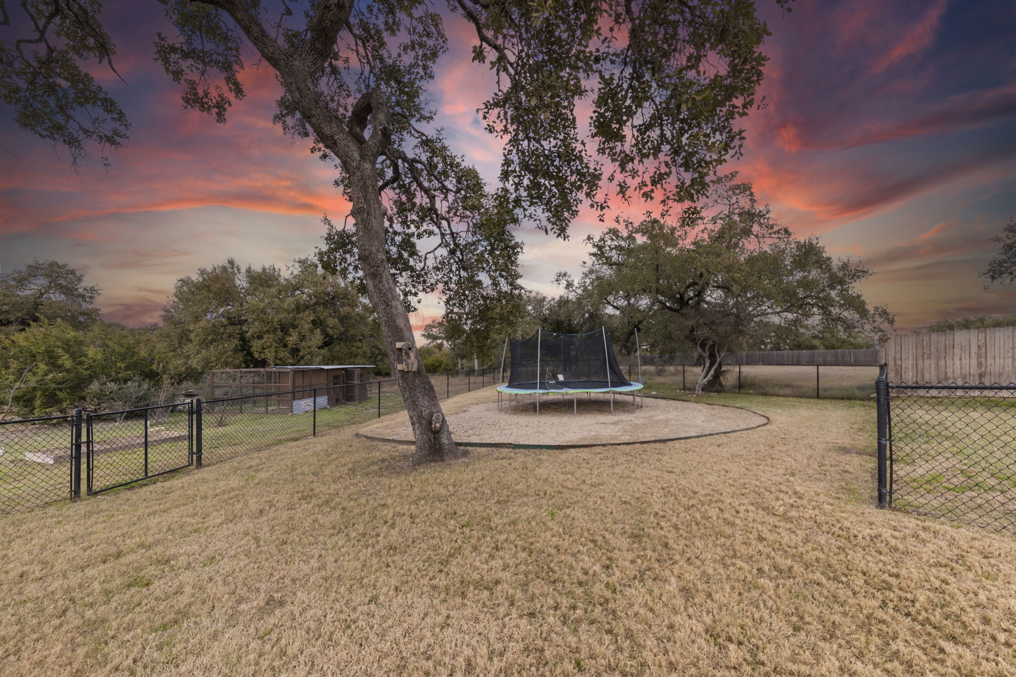 Back Yard 2